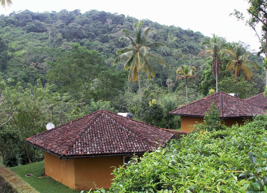 Kadugannawa Athulya Villas, Kandy מראה חיצוני תמונה